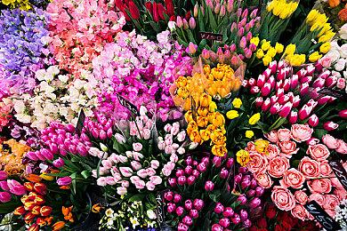 《雪地奔驰》第12季拓展包《公共能源》现已正式发售