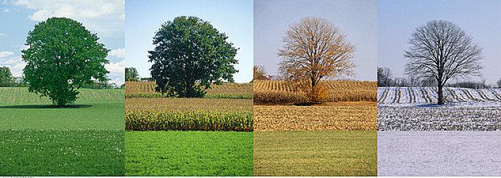 《红霞岛》加长版世界探索预告 合作不受限