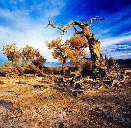 《天国：拯救》主创回应嘲讽事件：卷入了文化战争